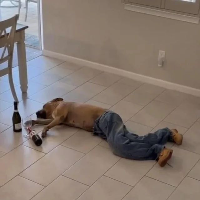 hourly_shitpost's tweet photo. https://t.co/rVjyqNErtK