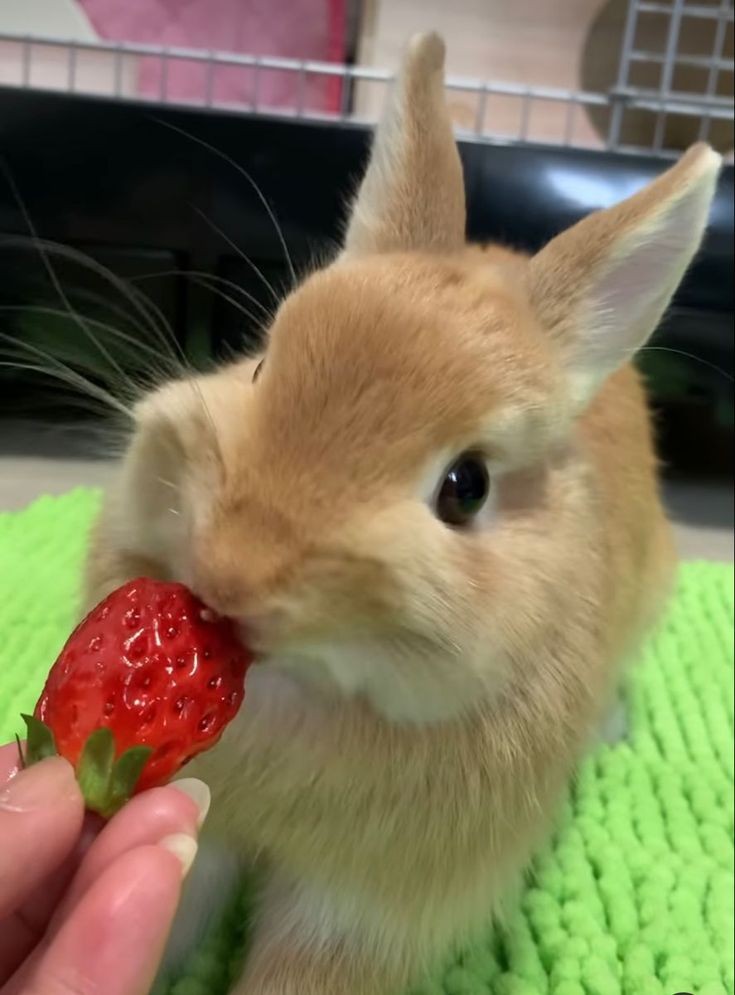 HildaPatsy54813's tweet image. Excellent photography ♥️🔥🔥