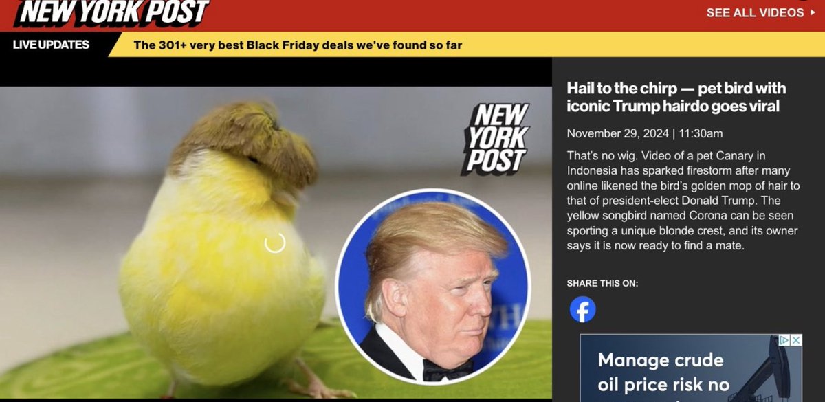 $Corona
5Px2H9yeDet3nVvcMfJPXMmLFwpkziueDdcvrgFcpump

先有趣再形成初始社区，最后才会有市值跟大庄，等待必不可少，有趣的灵魂meme总会具有极高的吸引力的。