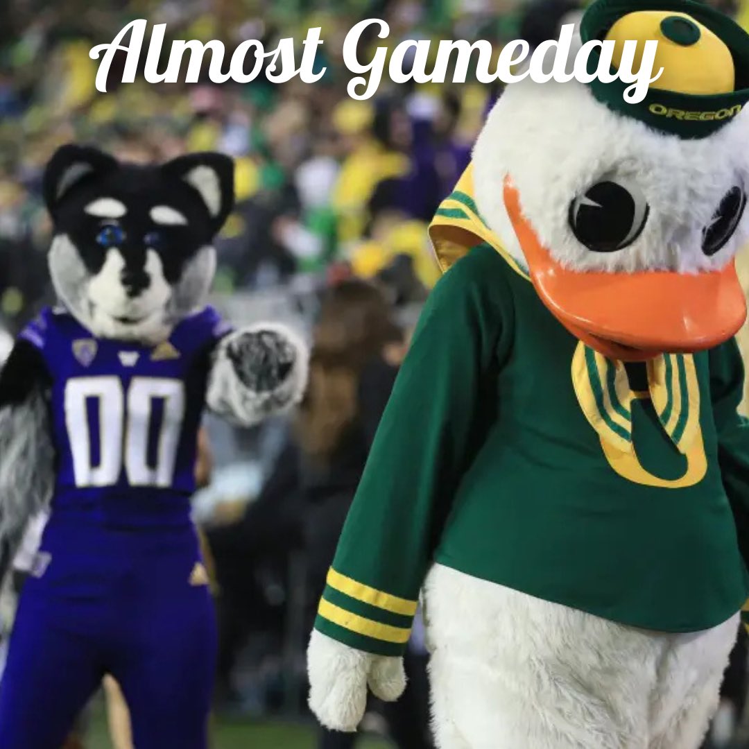 Barstoolhuskies's tweet image. Almost Gameday. 

#BeatOregon
