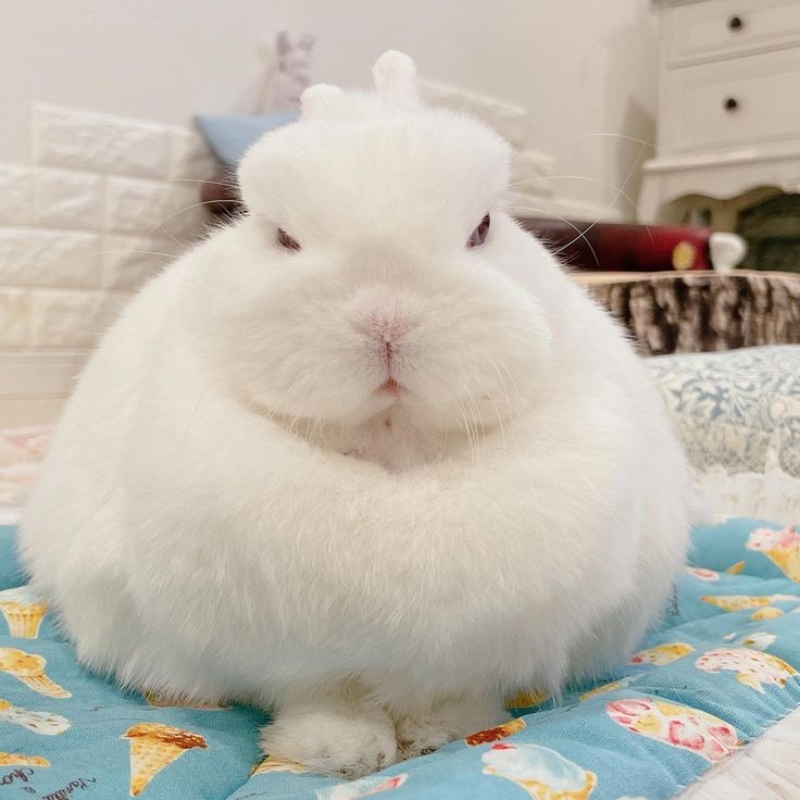 HildaPatsy54813's tweet image. Excellent photography ♥️🔥🔥