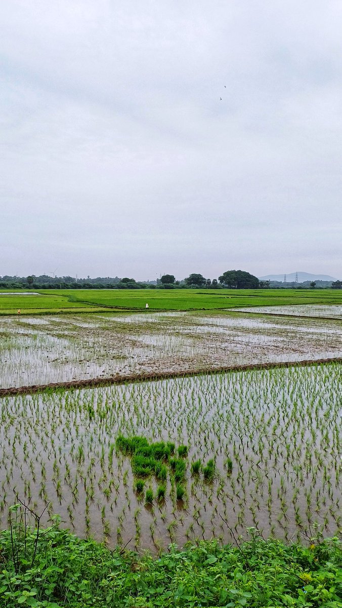 Tirunelveli🌱
#nellai #Tirunelveli 
<a href="/nellaiupdates/">Nellaiupdates</a> 
<a href="/OfTirunelveli/">Tirunelveli City Updates🏙</a>