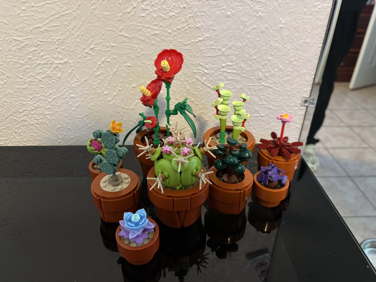 Nuestras locas noches 🤎