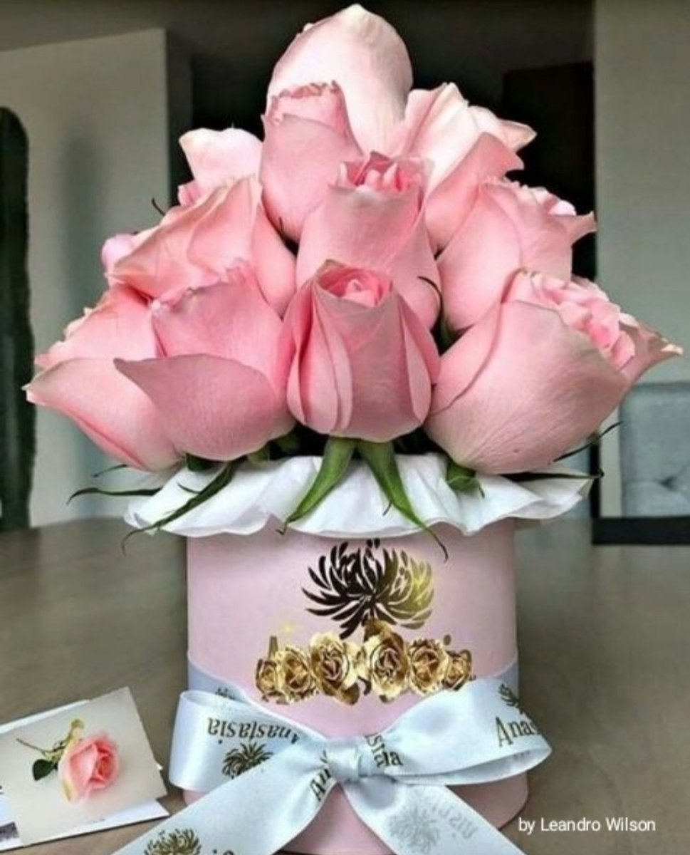 Indio del Sur / Americano tweet media