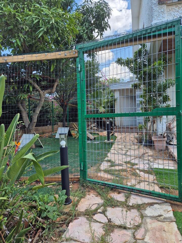 Chachi's Haven tweet media