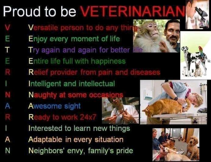 Vet Knowledge Pedia (@thevetknowledge) on Twitter photo 