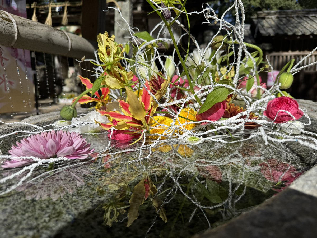 #糸島花手水
#櫻井神社
花の入れ替えを行いました。
