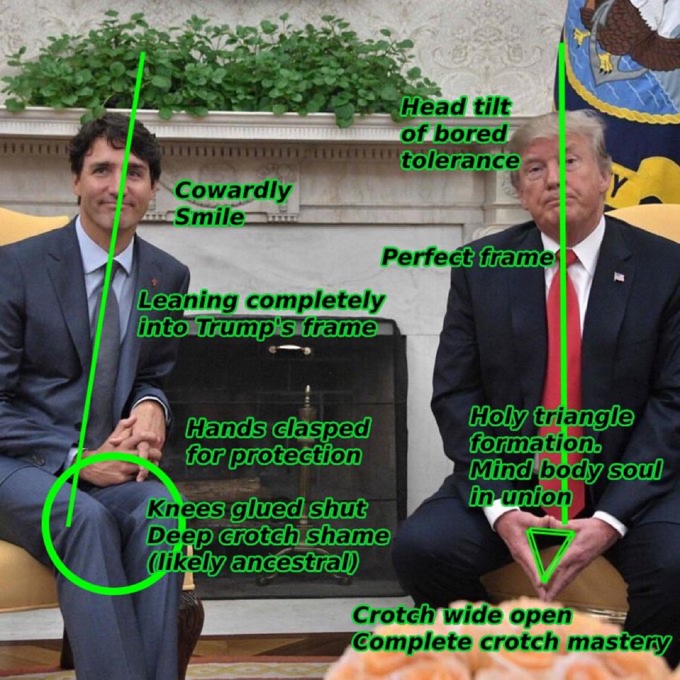 Not Elon Musk tweet media