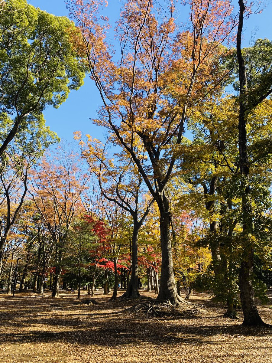 progress_jpn's tweet photo. 代々木公園にてINSPIRE TOKYOに出展中✨ https://t.co/6WYIRBA45X