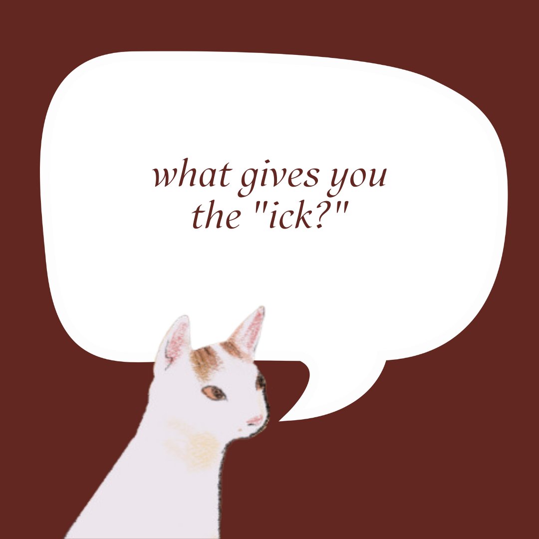 anything goes with emma chamberlain tweet media
