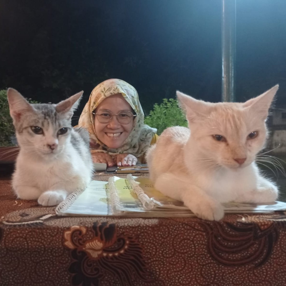 cutetutut's tweet photo. #NewProfilePic https://t.co/IfZK3Mj4cm