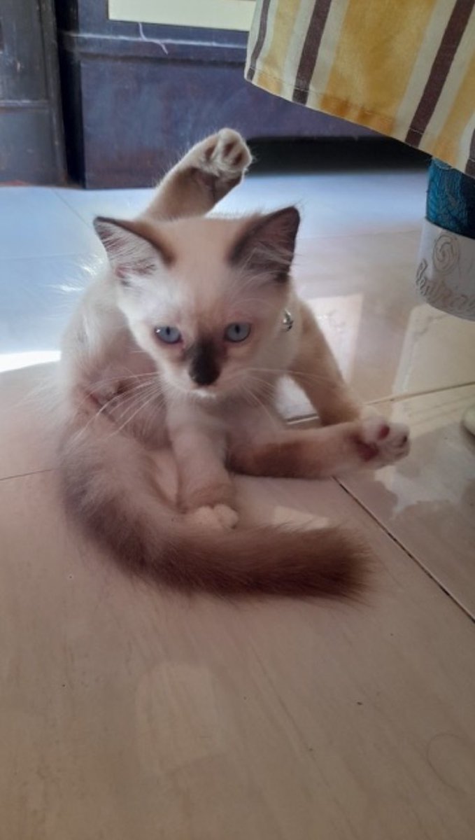 strdd_'s tweet image. anak gantengku😢😭💔