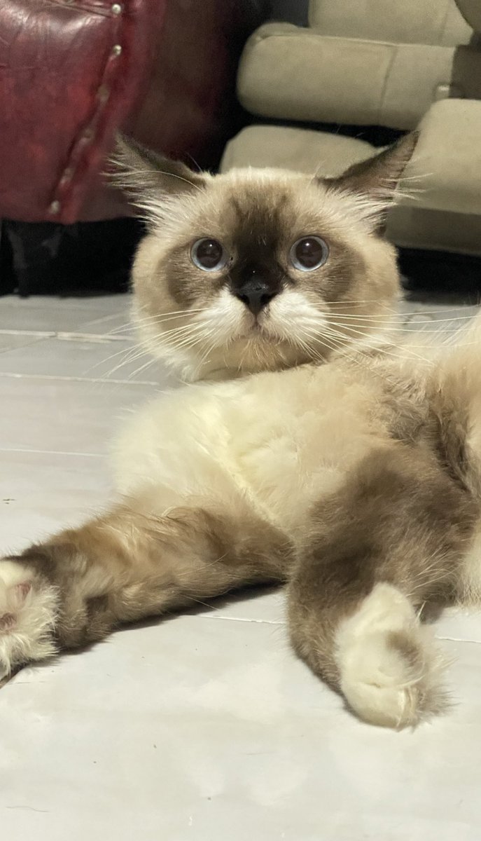 strdd_'s tweet image. anak gantengku😢😭💔