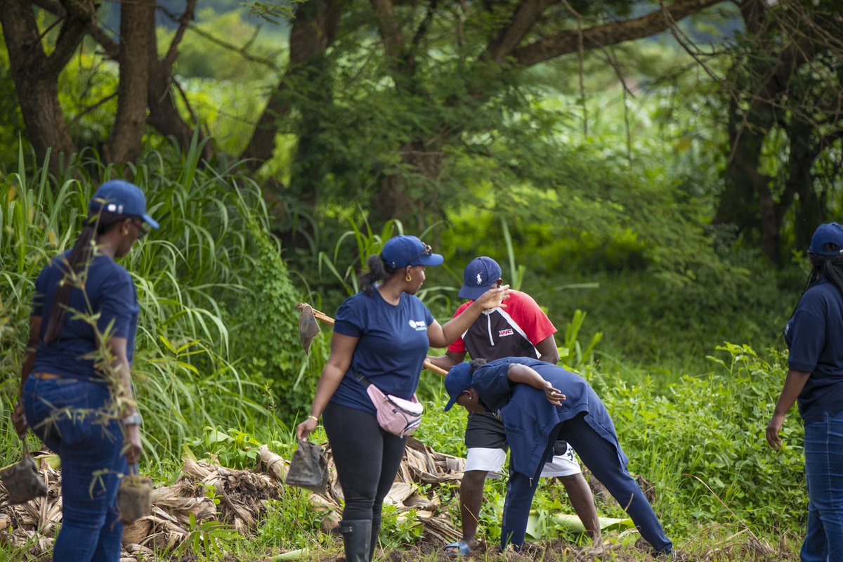 Crystal Ventures Foundation tweet media