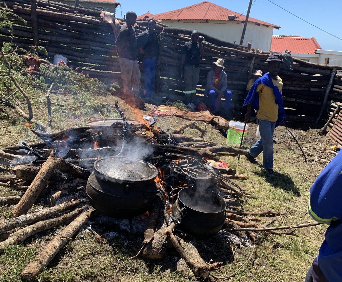 Sgadi28's tweet photo. #DabaneBarbecue #OneDayTournament #Gwaba #Kwelerha #2ndLastOneFor2024 …F3 sithoba imibengo https://t.co/bQh86t8n9L