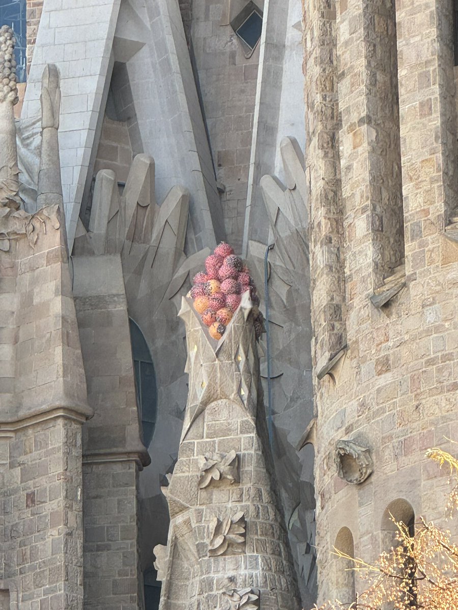 Les grenades de la sagrada