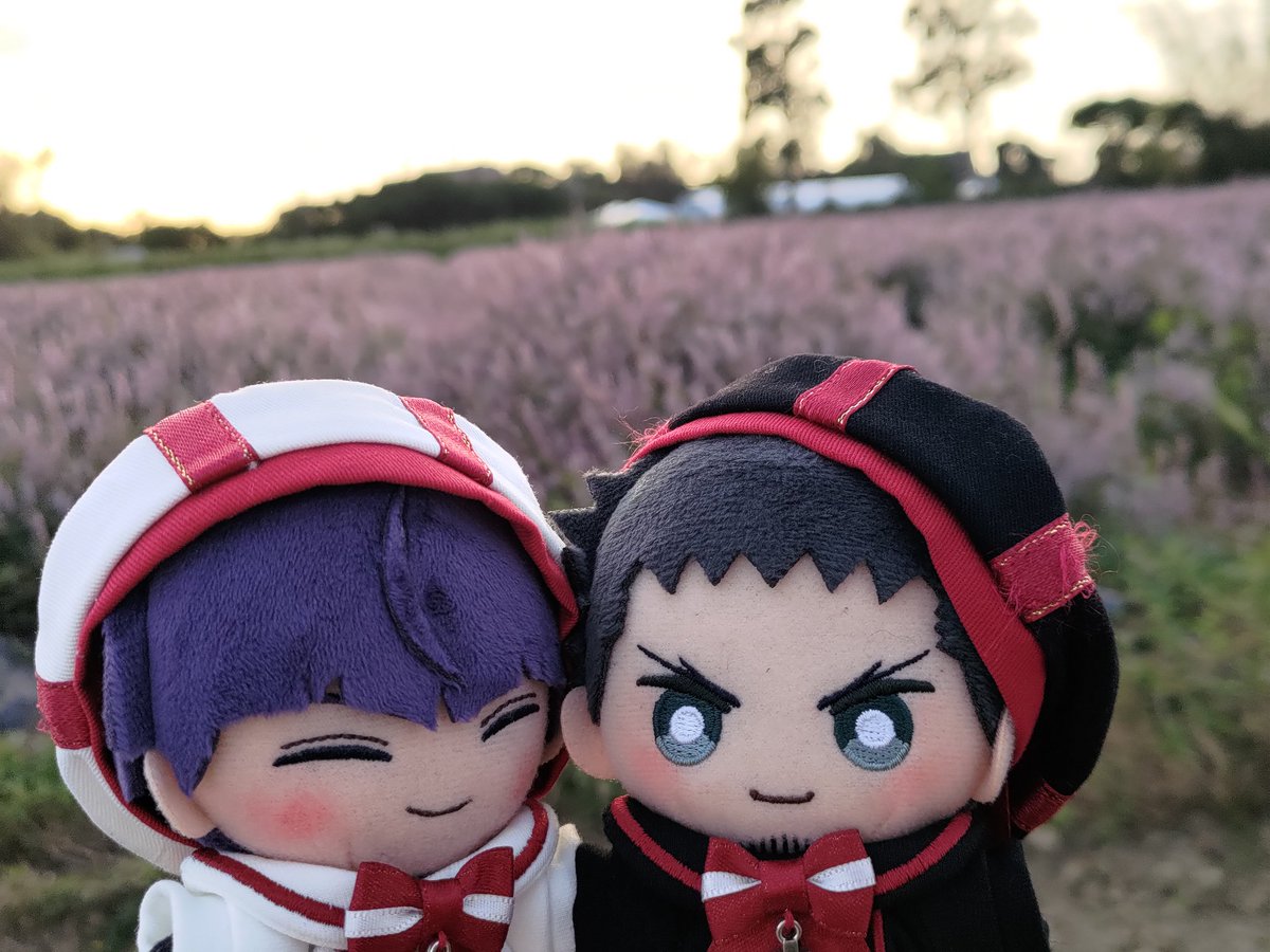 Neruhana's tweet photo. #保カフ https://t.co/91BYcIwJD9