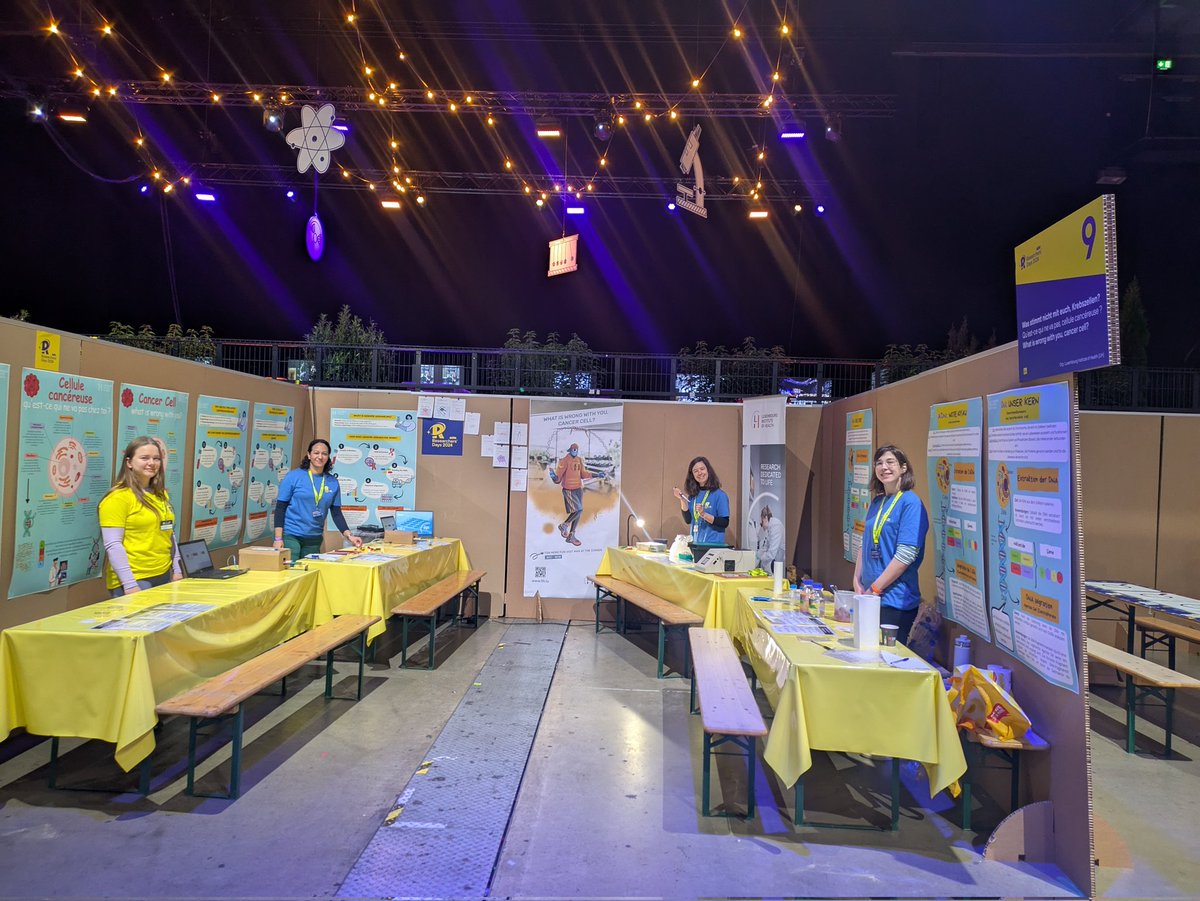 Reka Toth tweet media