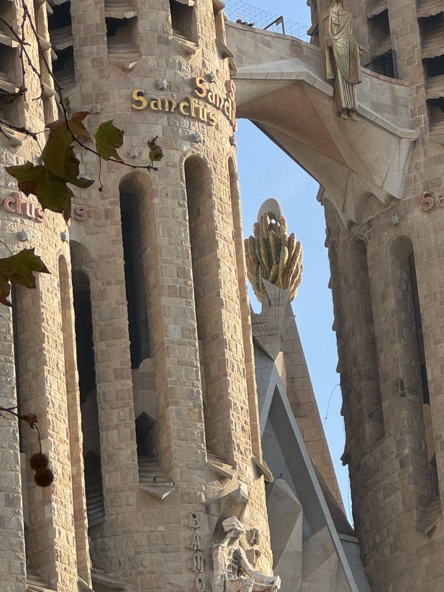 Hooo des épis de blé 😂