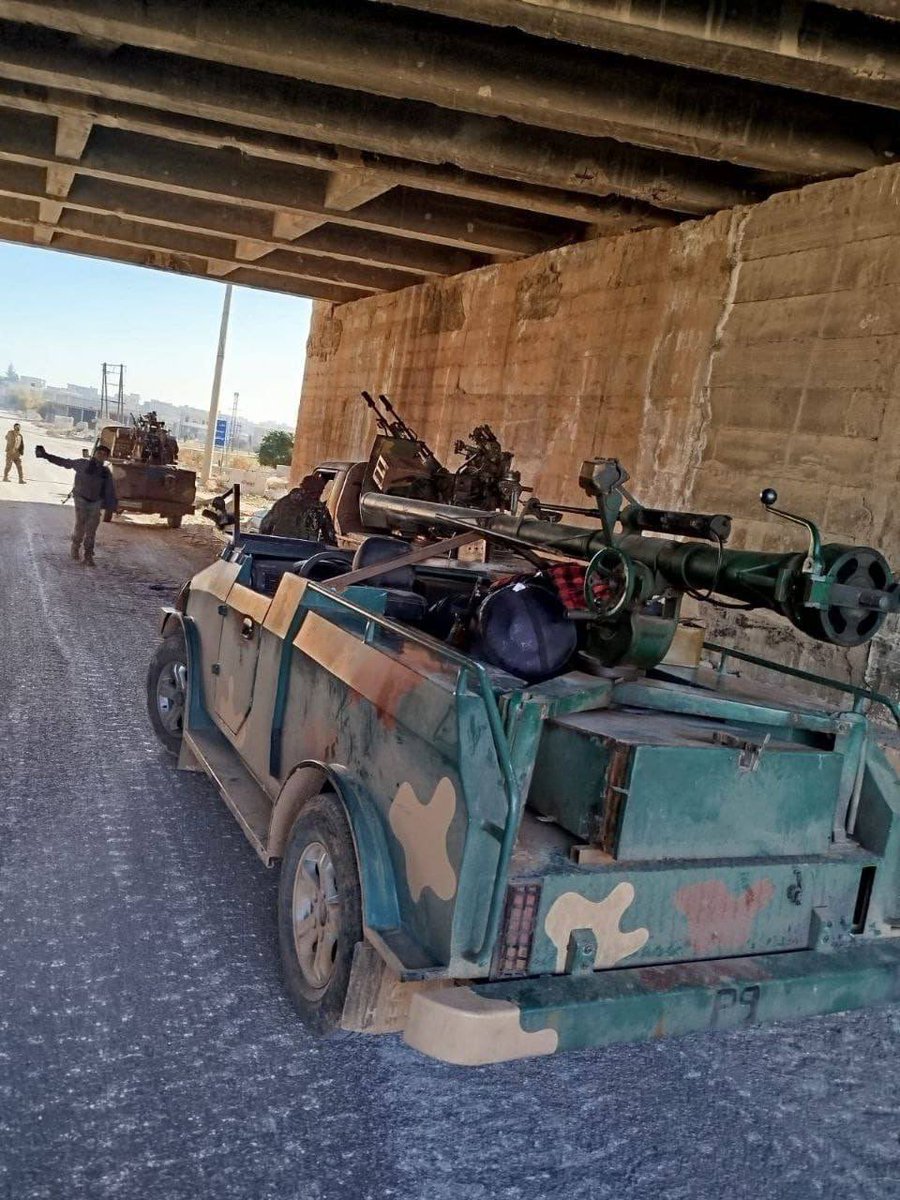 Special Kherson Cat 🐈🇺🇦 tweet media