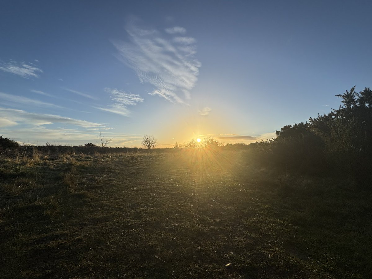 Shelly Munro 💙🏴󠁧󠁢󠁳󠁣󠁴󠁿 tweet media