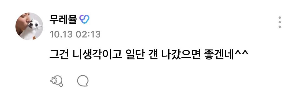 1002hssh's tweet photo. 헐 개든든할듯! https://t.co/cJU10FJhKh