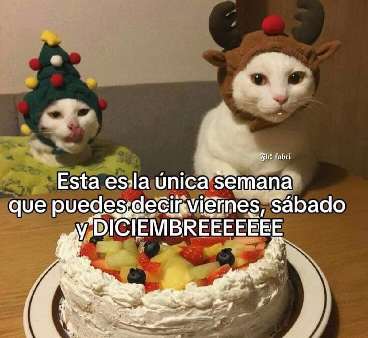 piña sin pizza (@skereunpesado) on Twitter photo 