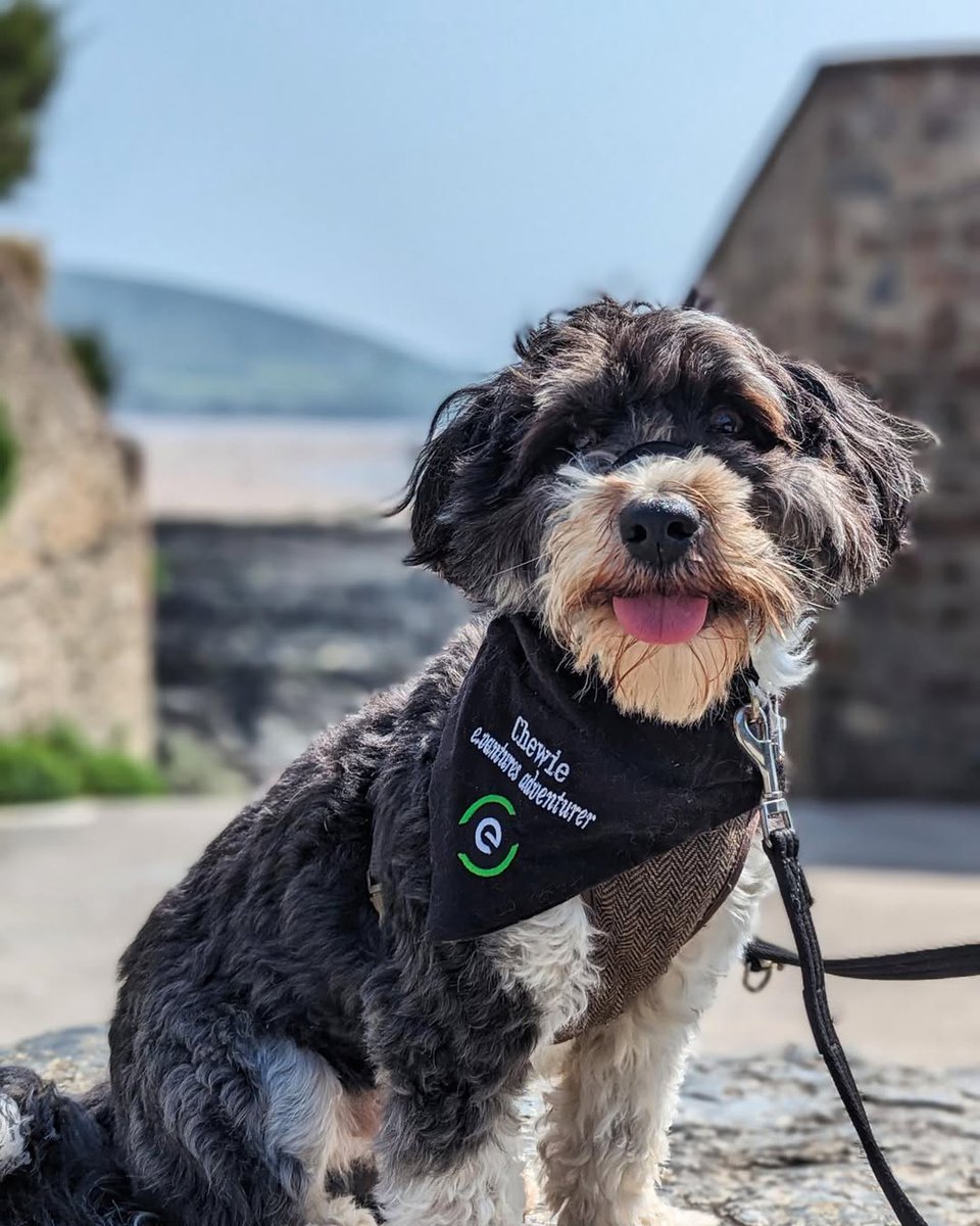 evec | electric vehicle charging ⚡️ tweet media