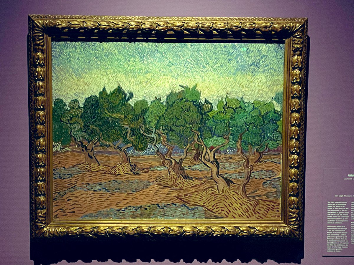 Marjon Leertouwer 🌸 tweet media