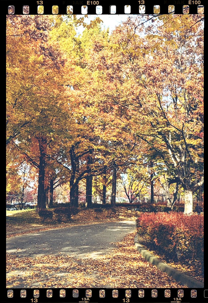 なんのために僕は
生まれてきたのか
明日からの未来を
僕はどんなふうに
生きていくべきか
何もわからぬまま
彷徨い続けている
進むべきルートは
一つじゃないから
彷徨い迷いながら
僕は前へ行くんだ