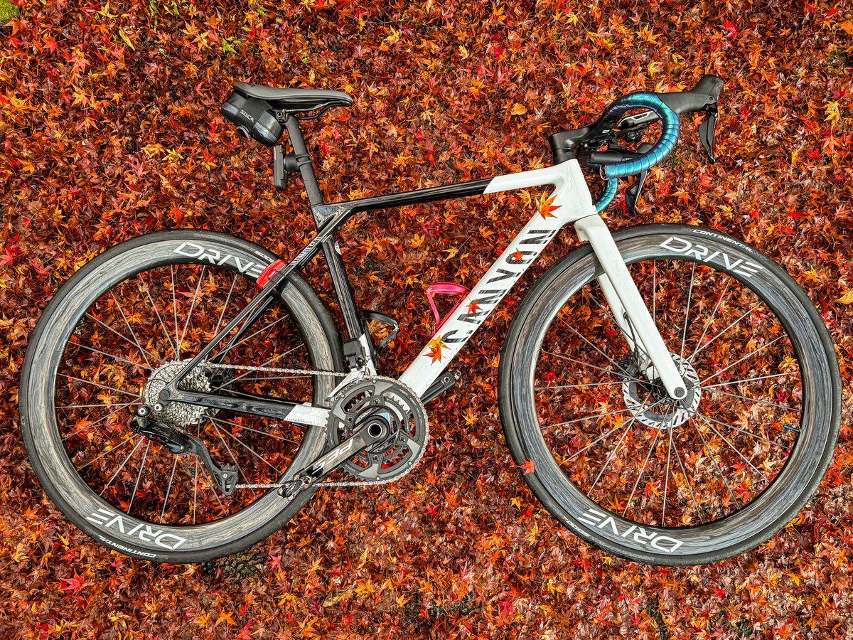 あぎさん@CANYON tweet media