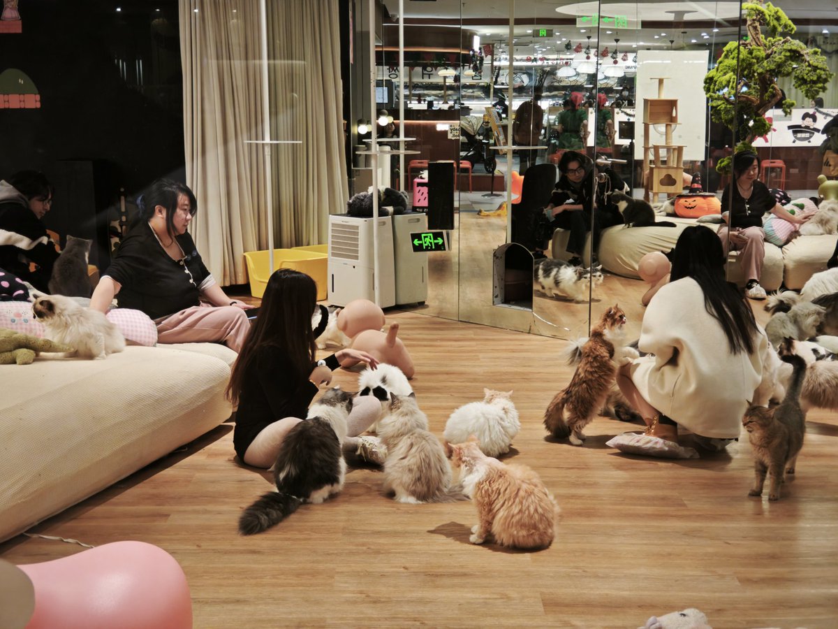 这是不是天堂，这是天堂吧
冲！