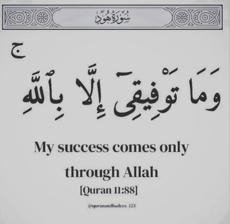 alaa85539's tweet photo. https://t.co/Y4U21XNZ6p