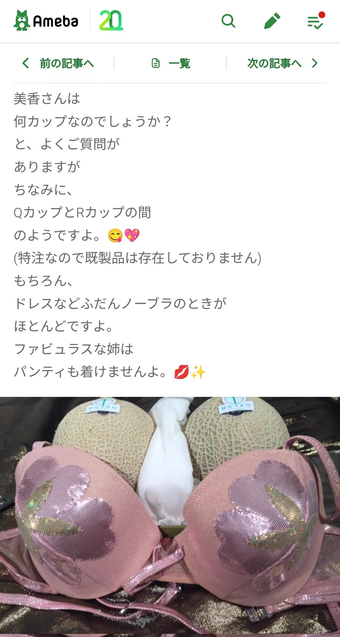 活動歴および当時の関連ビジュアル記録