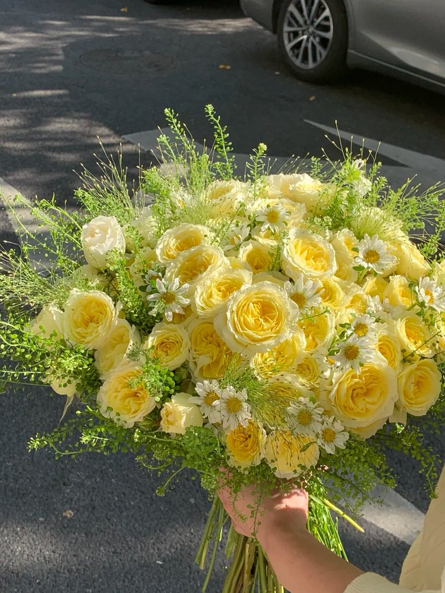 GienJones's tweet photo. 故事里的小黄花 https://t.co/K4fd0j0Eg3