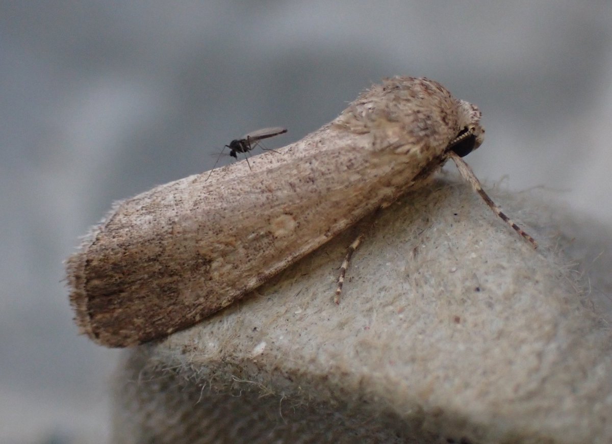 Dr Phil Saunders 🇬🇧 🇪🇺 🌈 tweet media