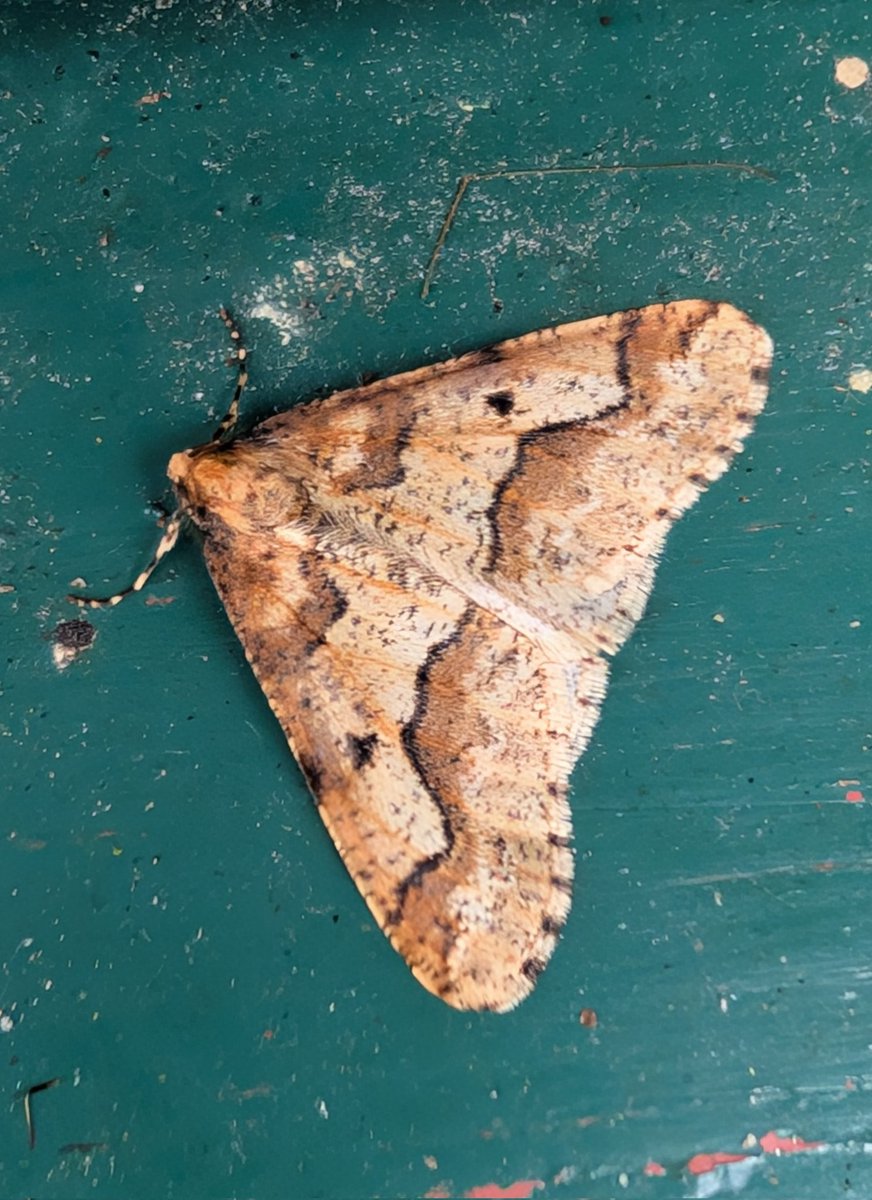 Dr Phil Saunders 🇬🇧 🇪🇺 🌈 tweet media