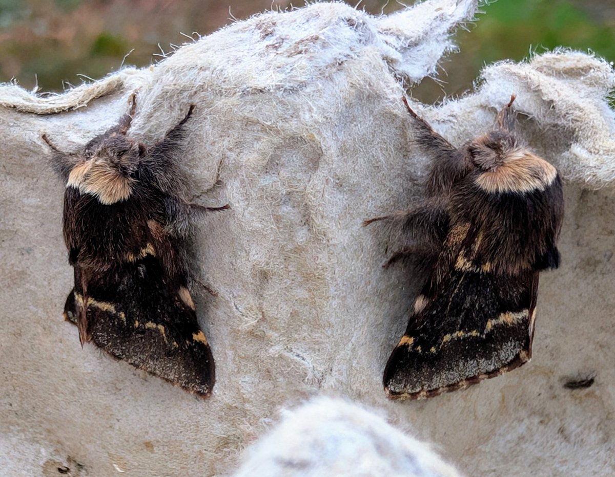 Dr Phil Saunders 🇬🇧 🇪🇺 🌈 tweet media