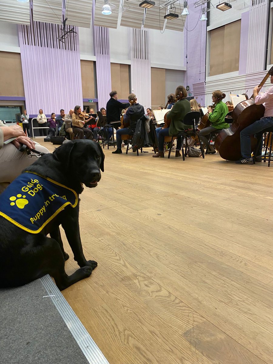 GernonBen's tweet photo. We had some very special visitors this week in the @BBCPhilharmonic studio ❤️ @GuideDogsNW https://t.co/A5ywwrwsAf