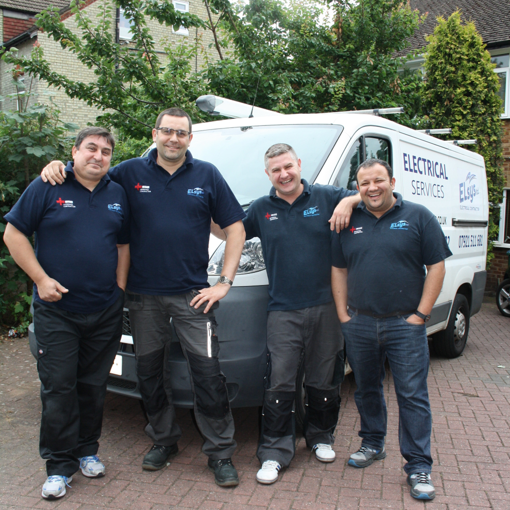 Elsys Electrical Ltd tweet media