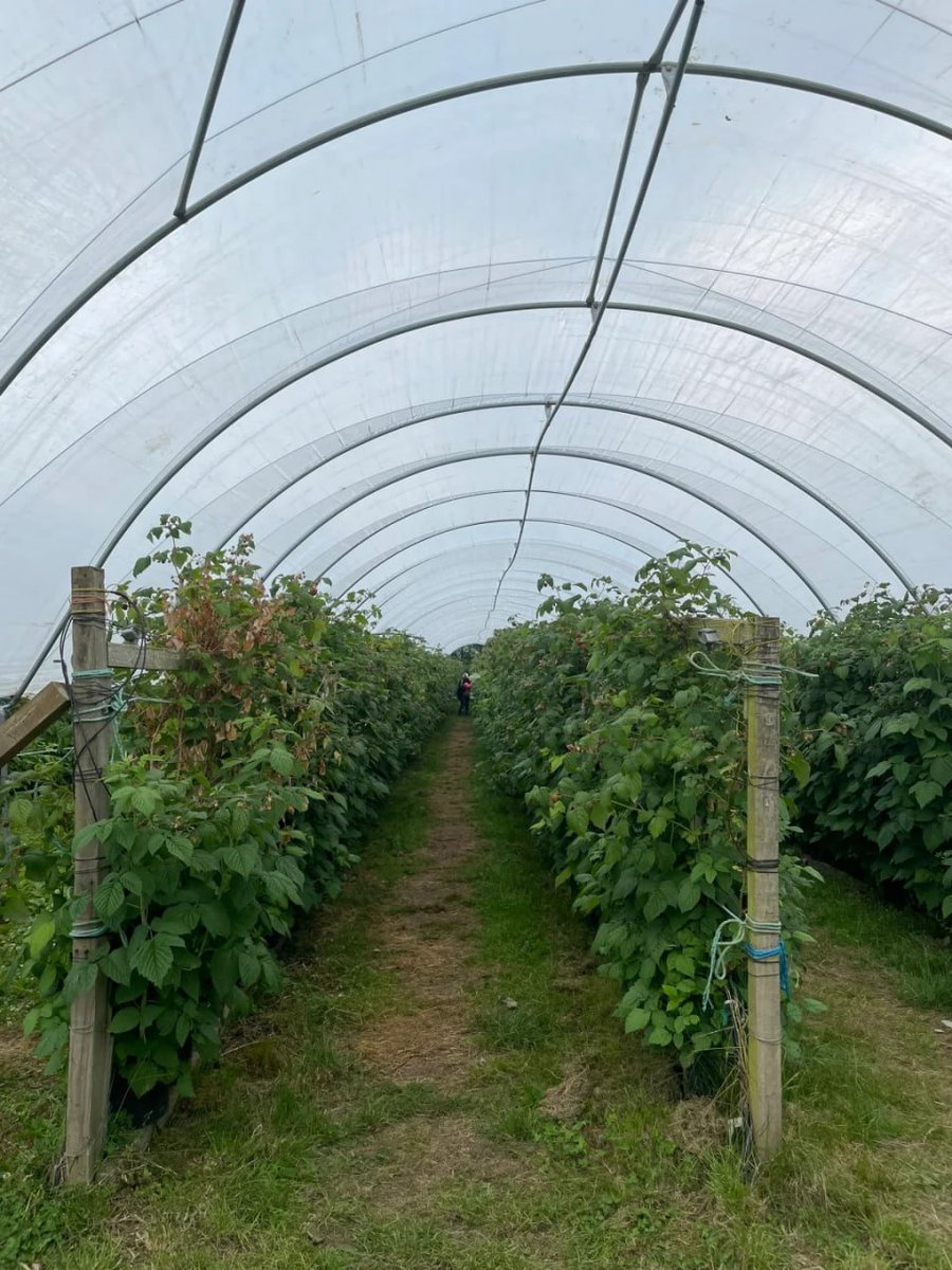 komplex06's tweet image. Chasing winter’s beauty one farm photo at a time. Nature never ceases to amaze!” 📸✨