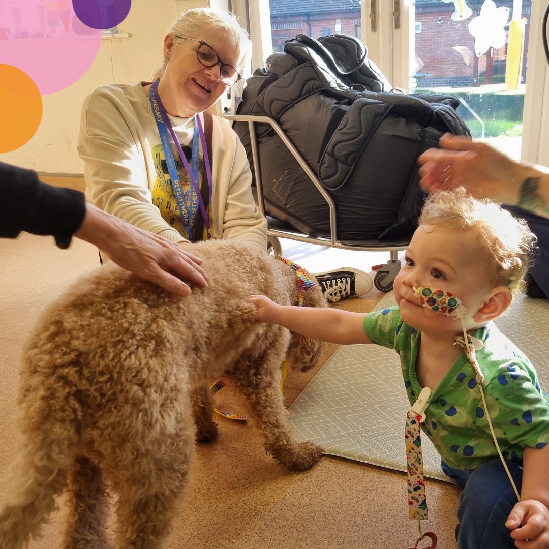 Coby had an amazing day at Rainbows last week! He got a special visit from Logi, the (very cute) PAT dog. Coby was fascinated by Logi's soft, curly hair, and he took Coby's curious pokes and prods in his stride! Thank you for visiting Logi! 🐶🌈