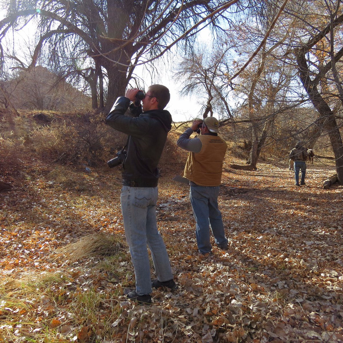 Bird Conservancy of the Rockies tweet media