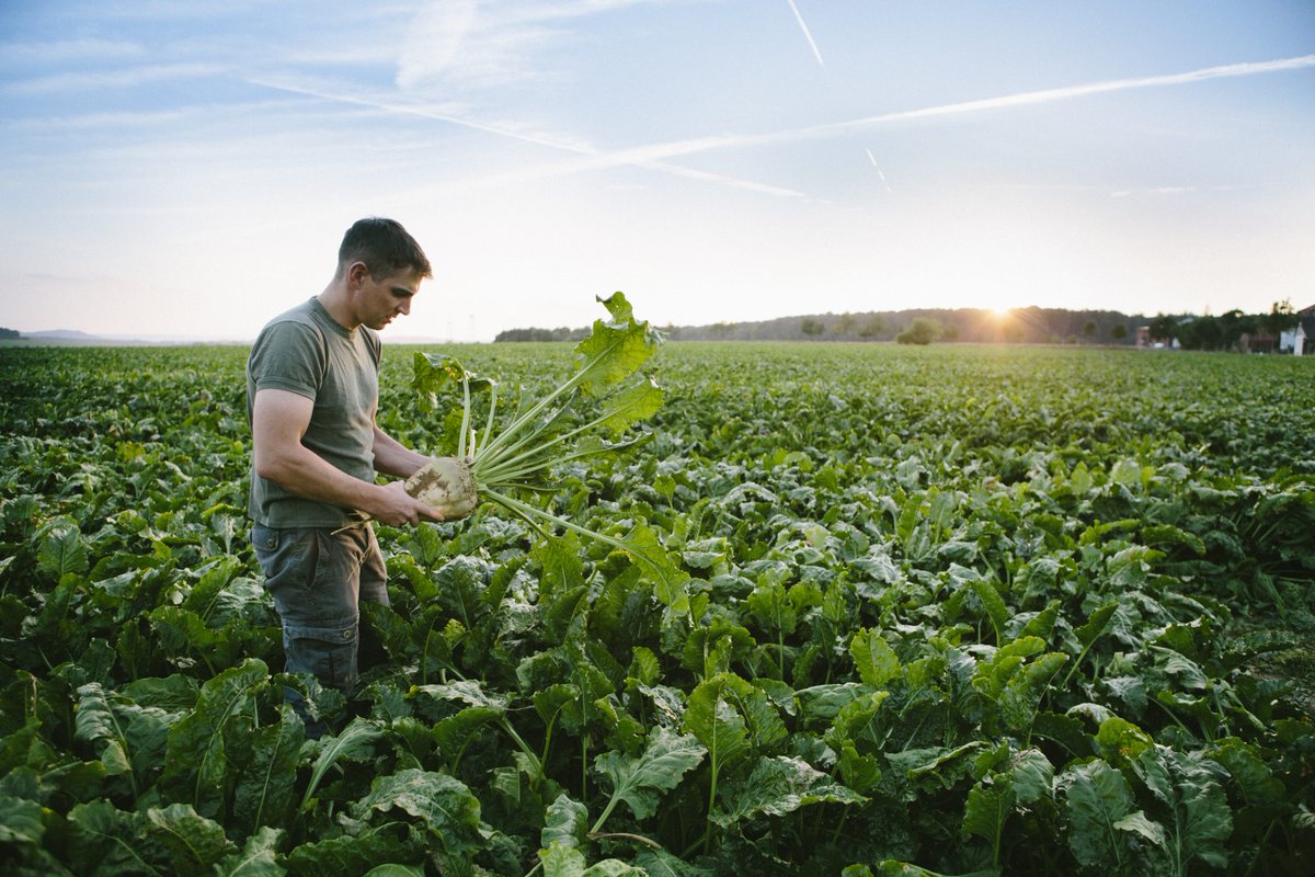 Europe’s broken food system, time to finance resilient and sustainable food systems euractiv.com/section/agricu… #SustainableFood #Euractiv