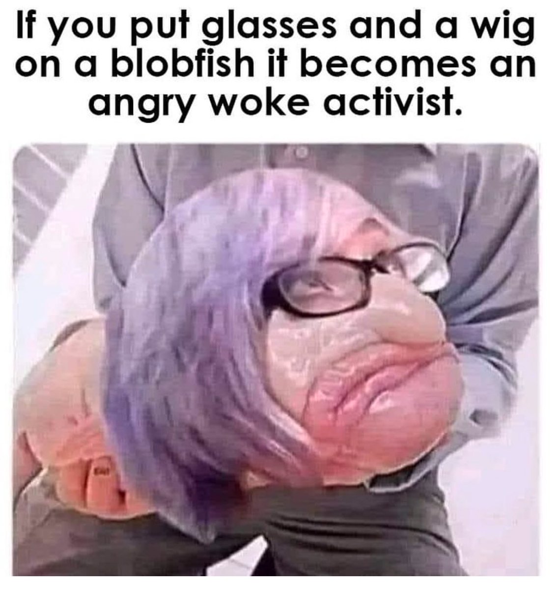 ClownWorld's tweet photo. 🤣🤣🤣 https://t.co/HP58SjhwrI