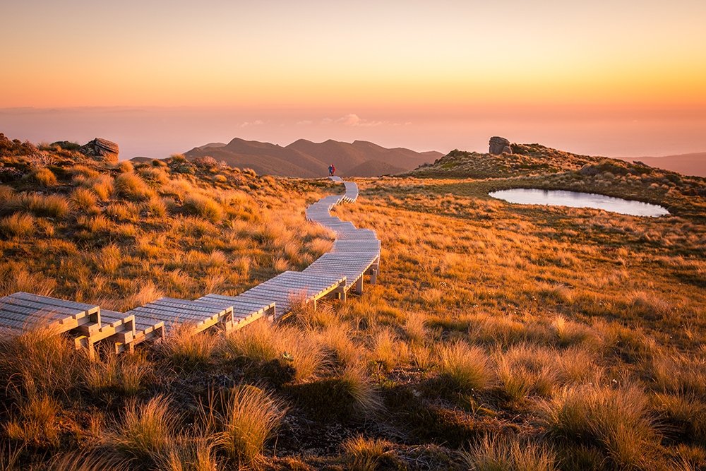 Andre Denmon tweet media