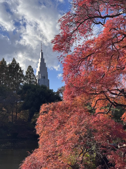 新宿御苑