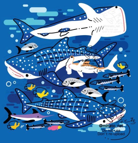 ジンベエザメ🐠