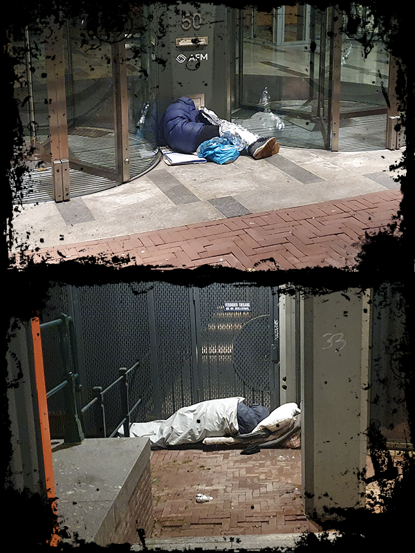 Team Huismuizen tweet media