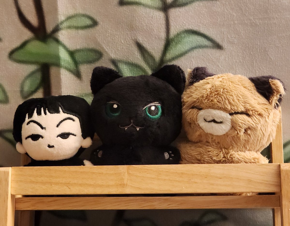 뀬밤이왔다 진짜 너무 귀여워💚